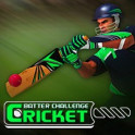 Cricket Batter Challenge